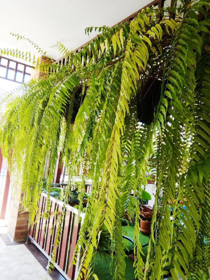 Bed and Breakfast Wilderness Банчанг Екстер'єр фото